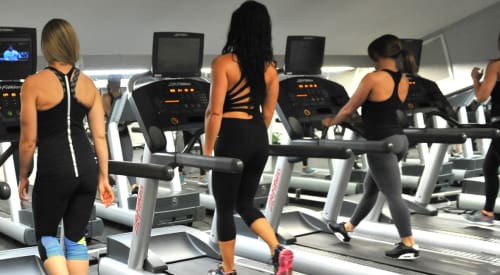 Best Montrose Gyms Near Me Cardio Training Treadmills Feature